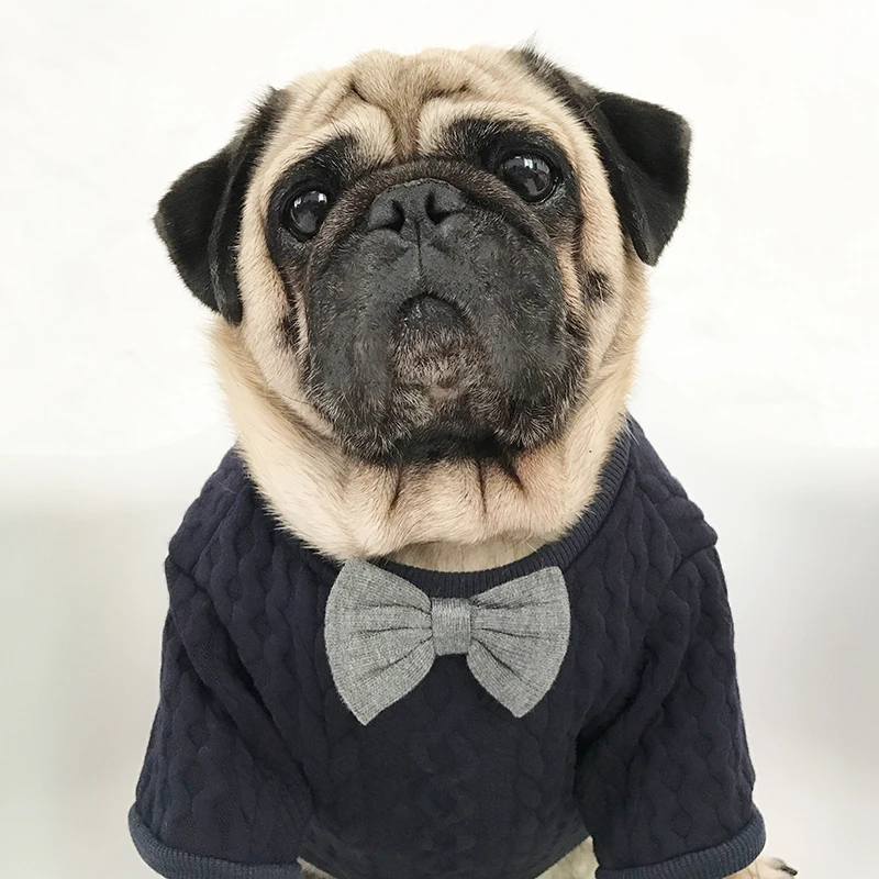 Bigeyedog французская одежда для бульдога зимняя мопса свитер собаки вязаная наряд