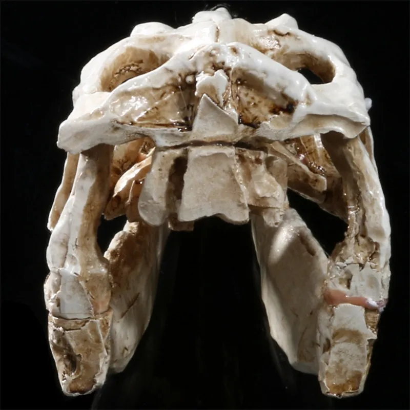 Креативные каучуковые фигурки хадрозавра череп скелет скульптура украшение для