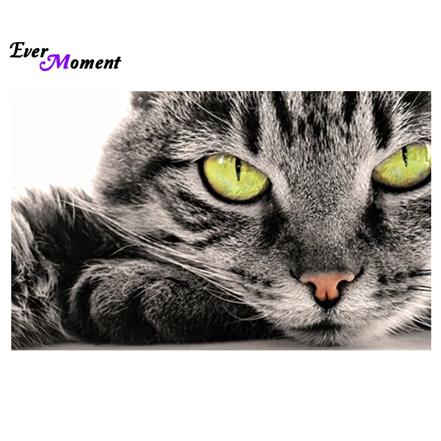 Алмазная вышивка сделай сам алмазная живопись крестиком кот стразы наклейка на