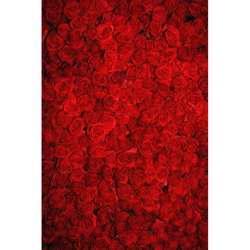 

valentine' day Vinyl cloth photography backdrop Computer Printing background for photo studio floral backdrop 5X7ft F-1766