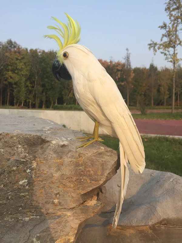 

large 40cm foam&feathers white feathers parrot bird,handicraft,home garden decoration gift a 311