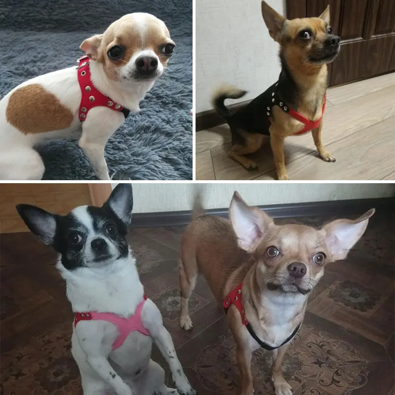 Мягкая замша кожа собака мелких пород жгут для щенков Чихуахуа Йорк плюшевый