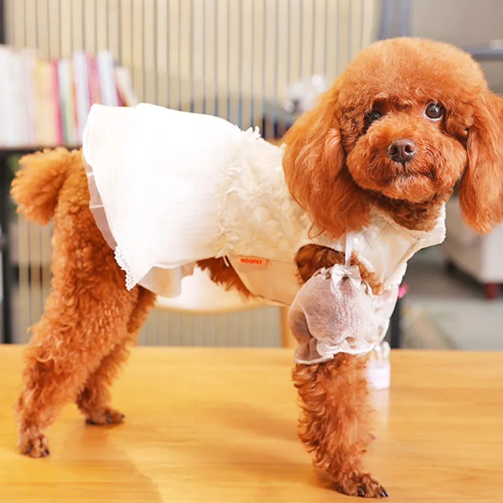 Платья для собак модные костюмы домашних весна лето с принтом ананаса и цветов