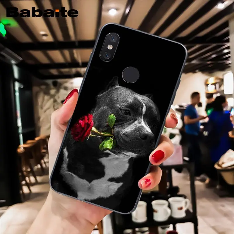 A7 Babaite питбуль прекрасная собака защитный чехол для телефона для Xiaomi MiA1 A2 lite F1 Redmi8 6A 4X 5Plus S2 Note7 8Pro 5A 7A - Цвет: A7
