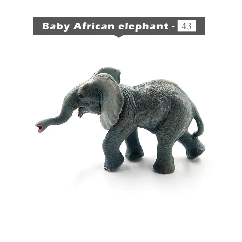 Baby elephant Имитация леса, дикая панда, слон, енот, кенгуру, альпака, олень, медведь, Ослик, Wildebeest, пластиковые животные, мини-фигурка, модель игрушки - Цвет: Baby elephant