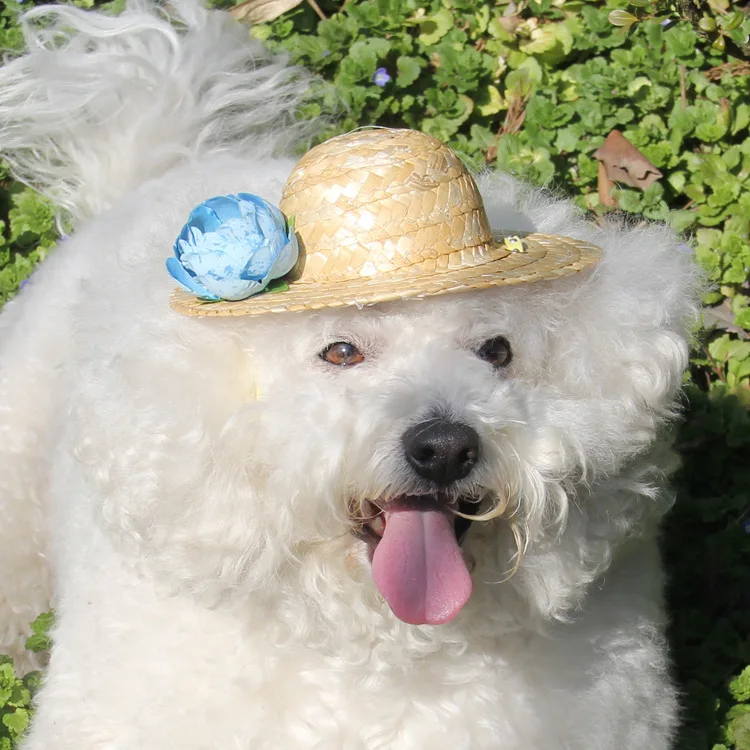 Cute dog straw hat Cap with Adjustable Chin String funny cowboy party costume handmade Dog Grooming hair wedding accessories | Дом и сад