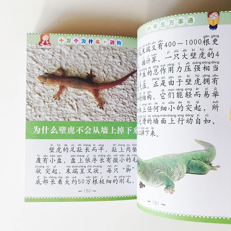 50 детских белых животных китайская книга для детей простые символы с карманом