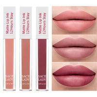 nude matte lip gloss lips makeup long lasting waterproof pink dark red lip tintstain tattoo moisturize liquid lipstick cosmetic
