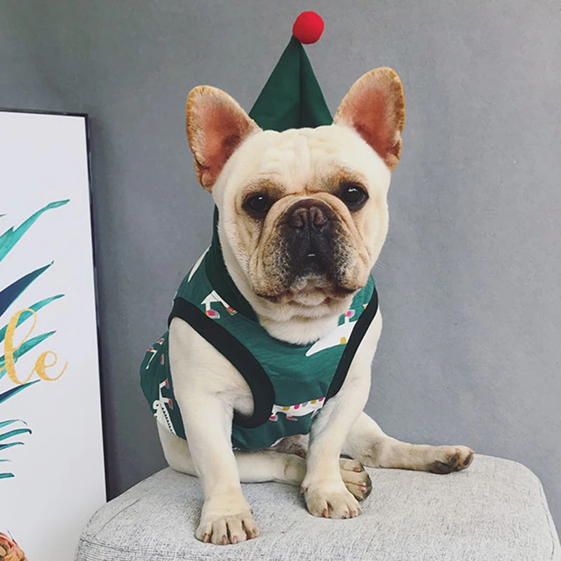 Собака одежды комплект летней для семьи одежда маленьких собак панель в форме