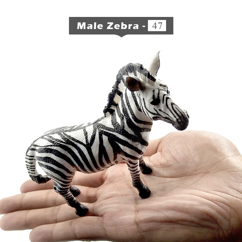 Male-Zebra-47 Имитация леса, животные, модель, дикий олень, бегемот, Лев, тигр, панда, носорог, белый медведь, северный олень, жираф, верблюд, лося, буйвол, игрушки - Цвет: Male-Zebra-47