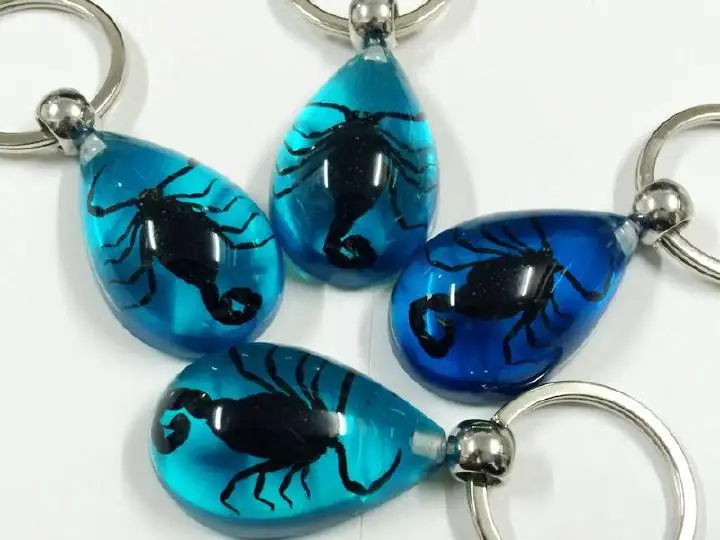 12 шт. синий брелок для ключей настоящий черный скорпион ювелирная смола