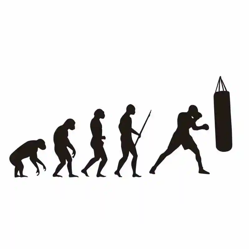 Evolution Boxing Настенная Наклейка Kick Boxer Play перчатки Бесплатные боевые постеры