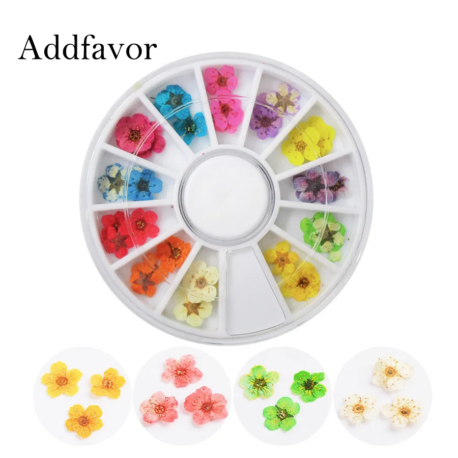 AddFavor натуральный высушенный цветок для ногтей художественное украшение