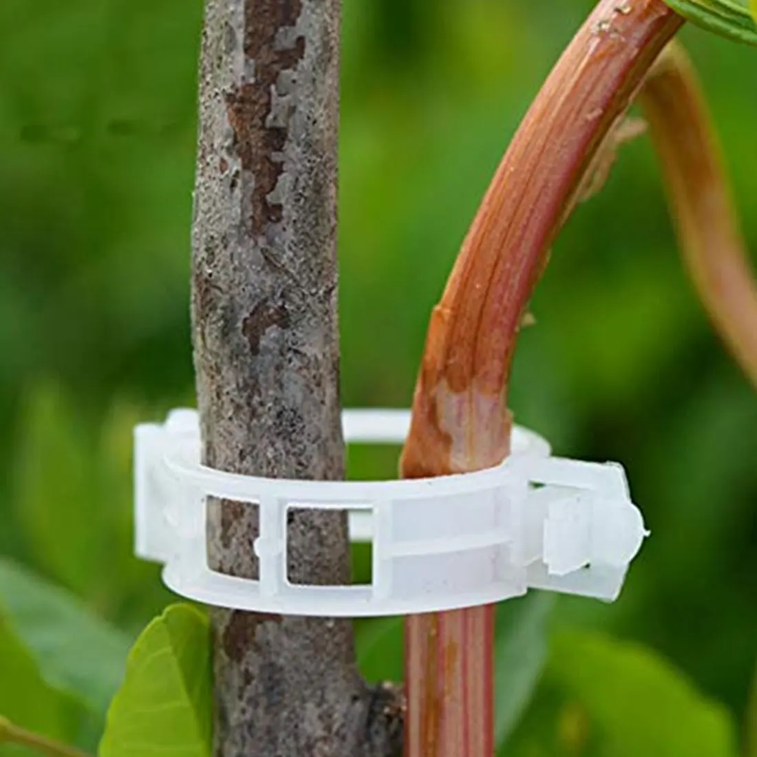 Томатная садовая растительная опора зажимы 100 шт для шпагата теплицы томатные