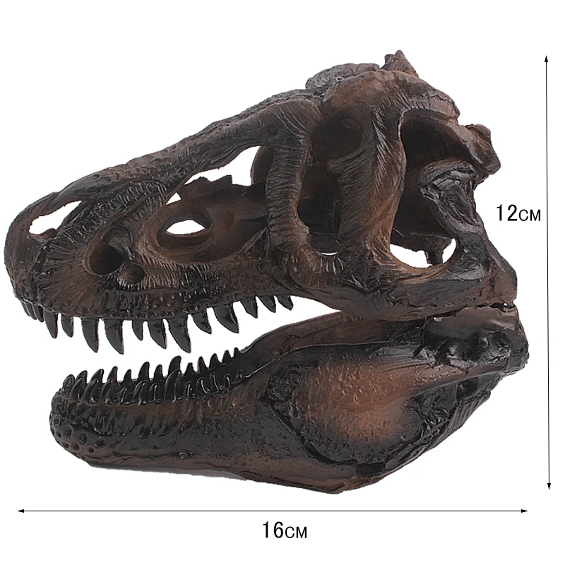 Новейшая модель динозавра тиранозавра Рекс череп для коллекции размером черепа