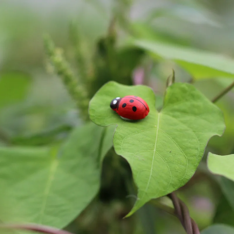 100 шт./Ландшафтные украшения мультяшная мини-леди жук сборка сделай сам предметы