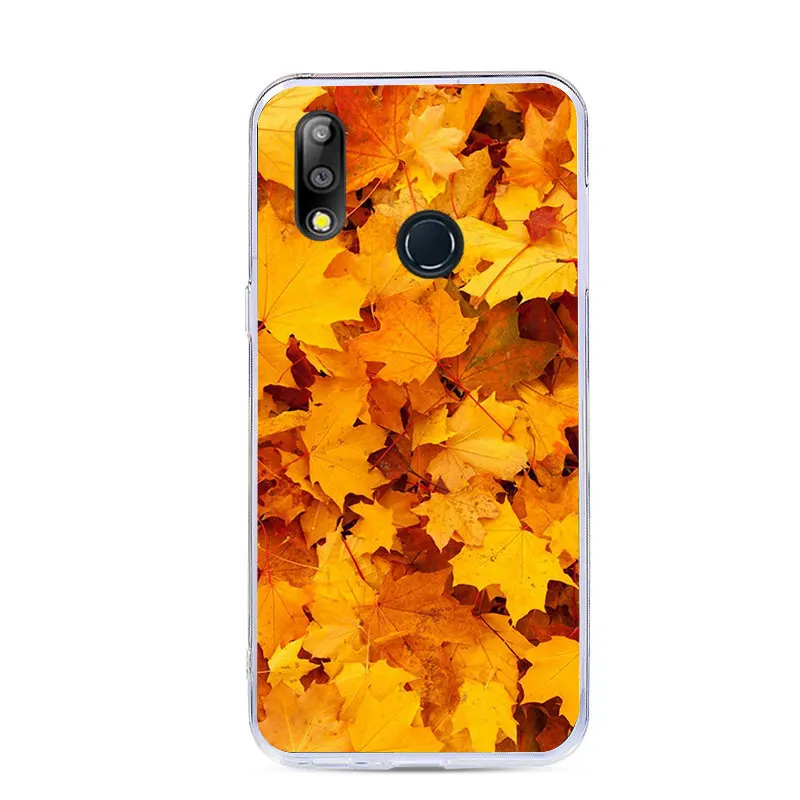 Чехол с рисунком lamobase для телефона Asus Zenfone Max M2 ZB633KL Pro ZB631KL M1 ZB601KL ZB602KL мягкий