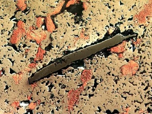 Металлургический инвертированный Микроскоп амскоп 40X 1000X суперширокополосный