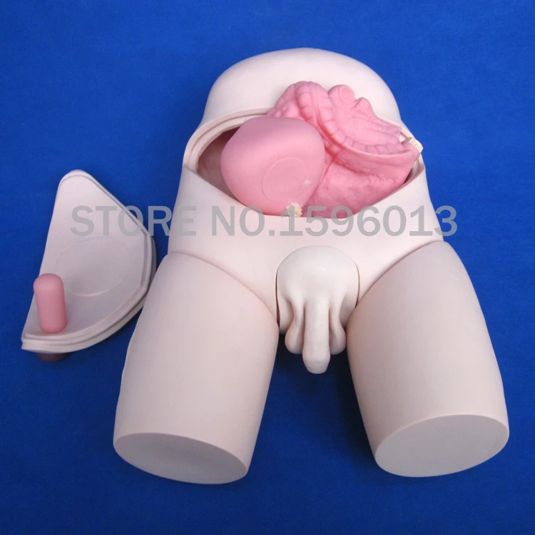 Популярный базовый манекен для кормления комбинированные симуляторы