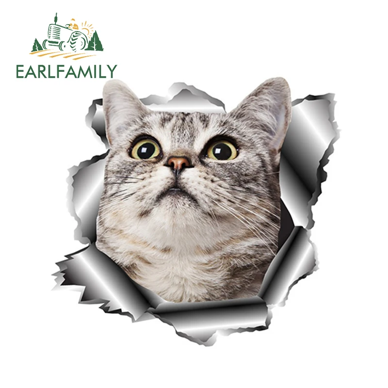 EARLFAMILY 13 см x 12 2 милый питомец кошка виниловая Автомобильная наклейка рваная