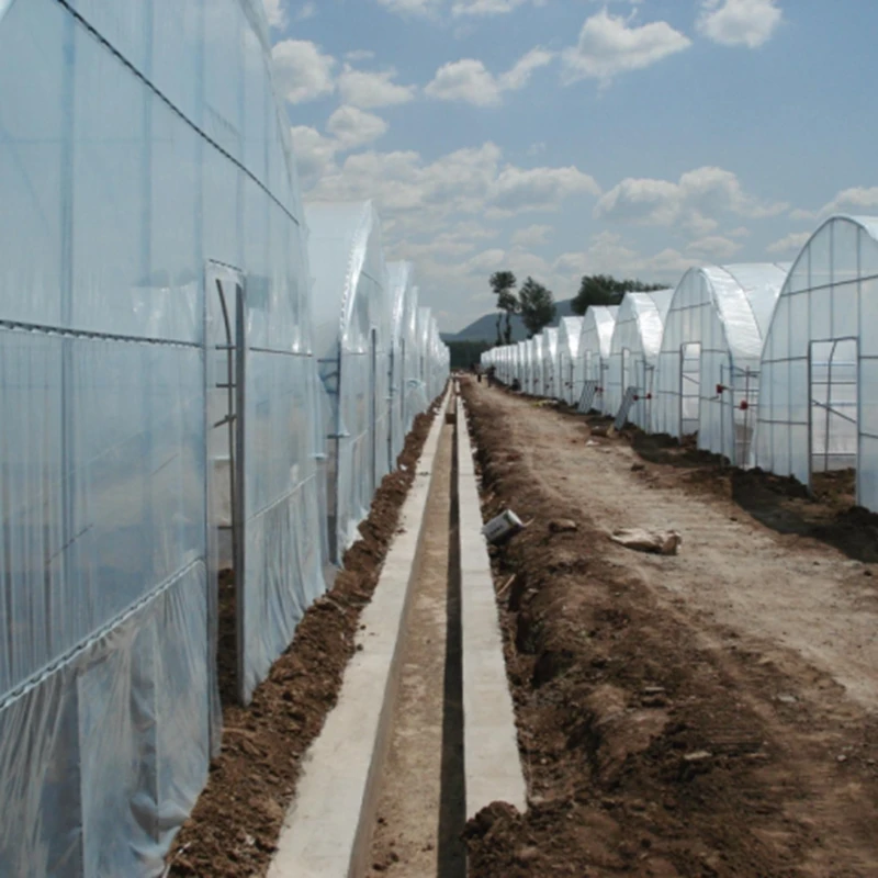 Пленка для теплиц 3*4 м 3*5 сельского хозяйства высокопрозрачная пленка садовых