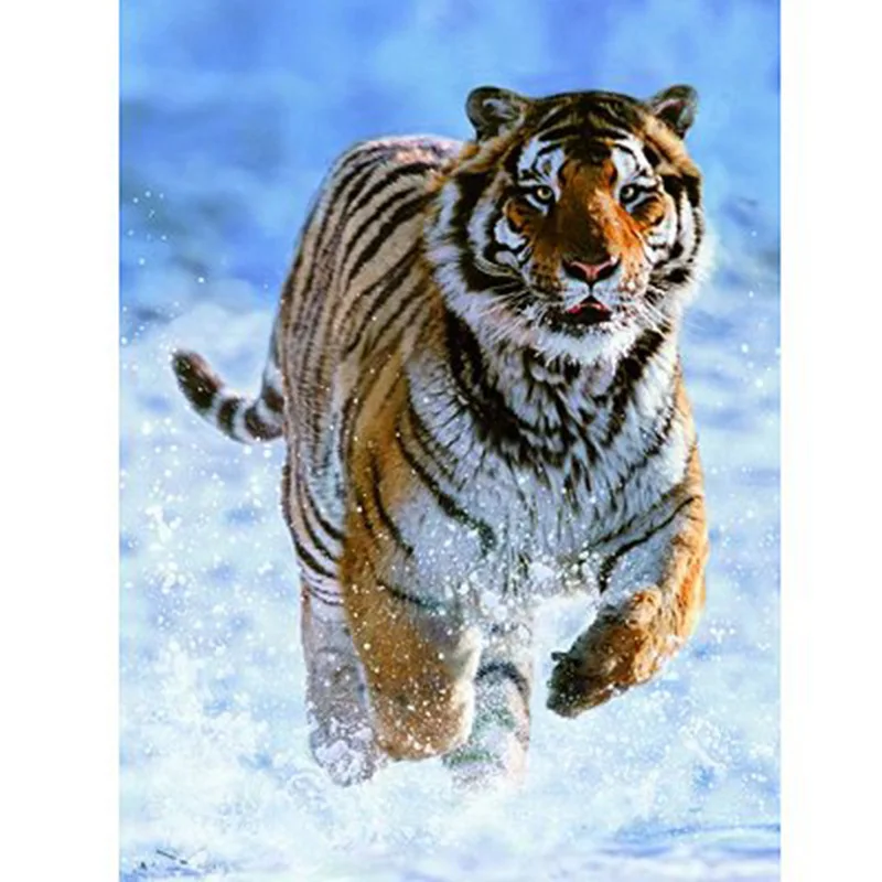 

5D Diy Diamond Painting Cross Stitch Snow Running Tiger Full Embroidery Square/round Needlework Rhinestone Mosaic Crafts