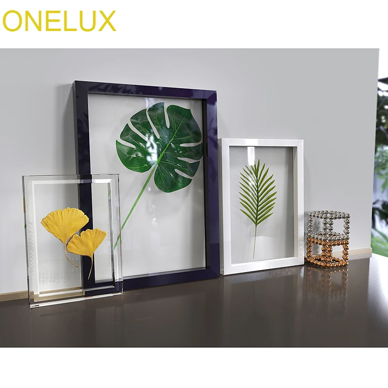 ONELUX наборы акриловых ботанических образцов рамка с магнитами Lucite