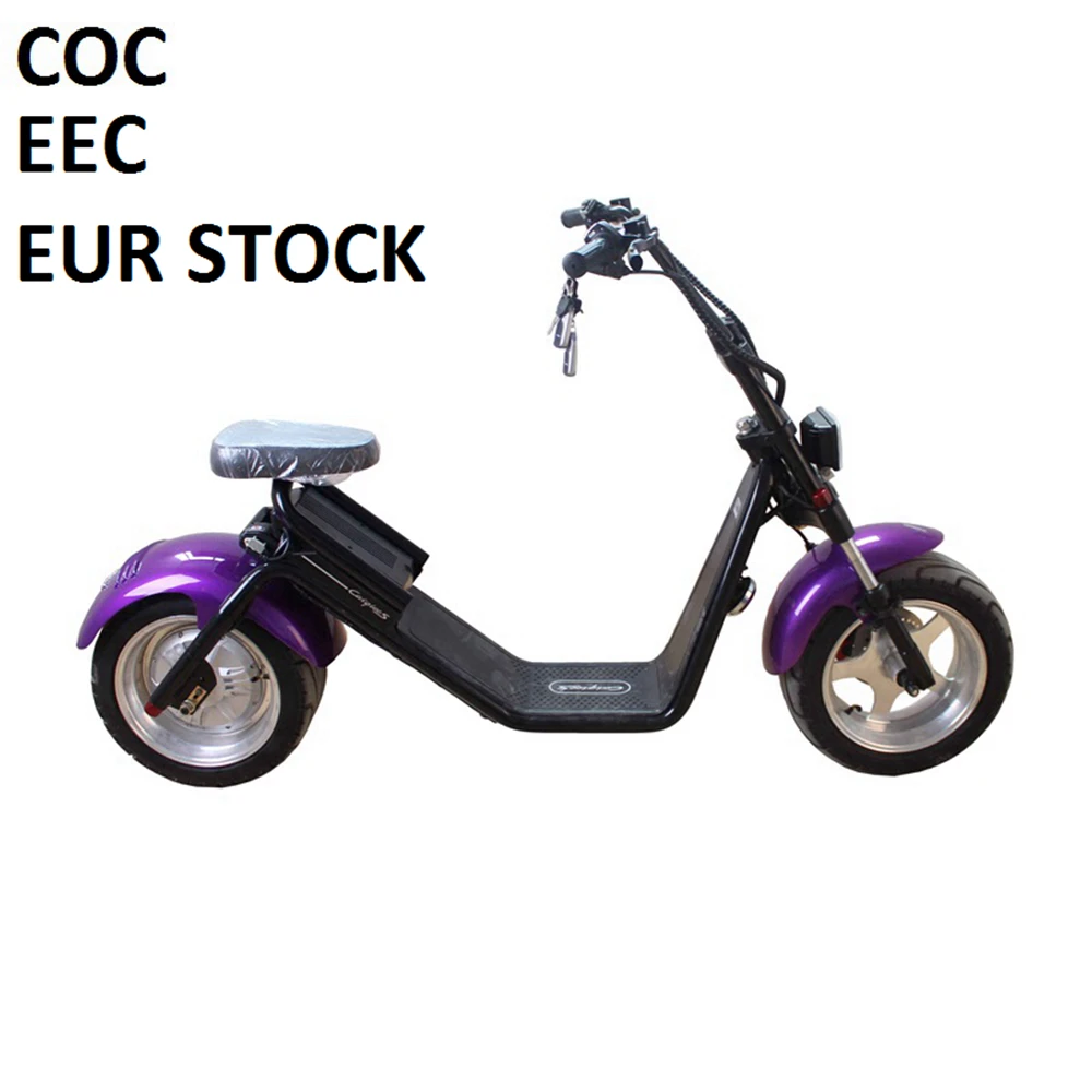 COC EEC Европейский Электрический скутер 60 в 12AH съемный аккумулятор велосипед