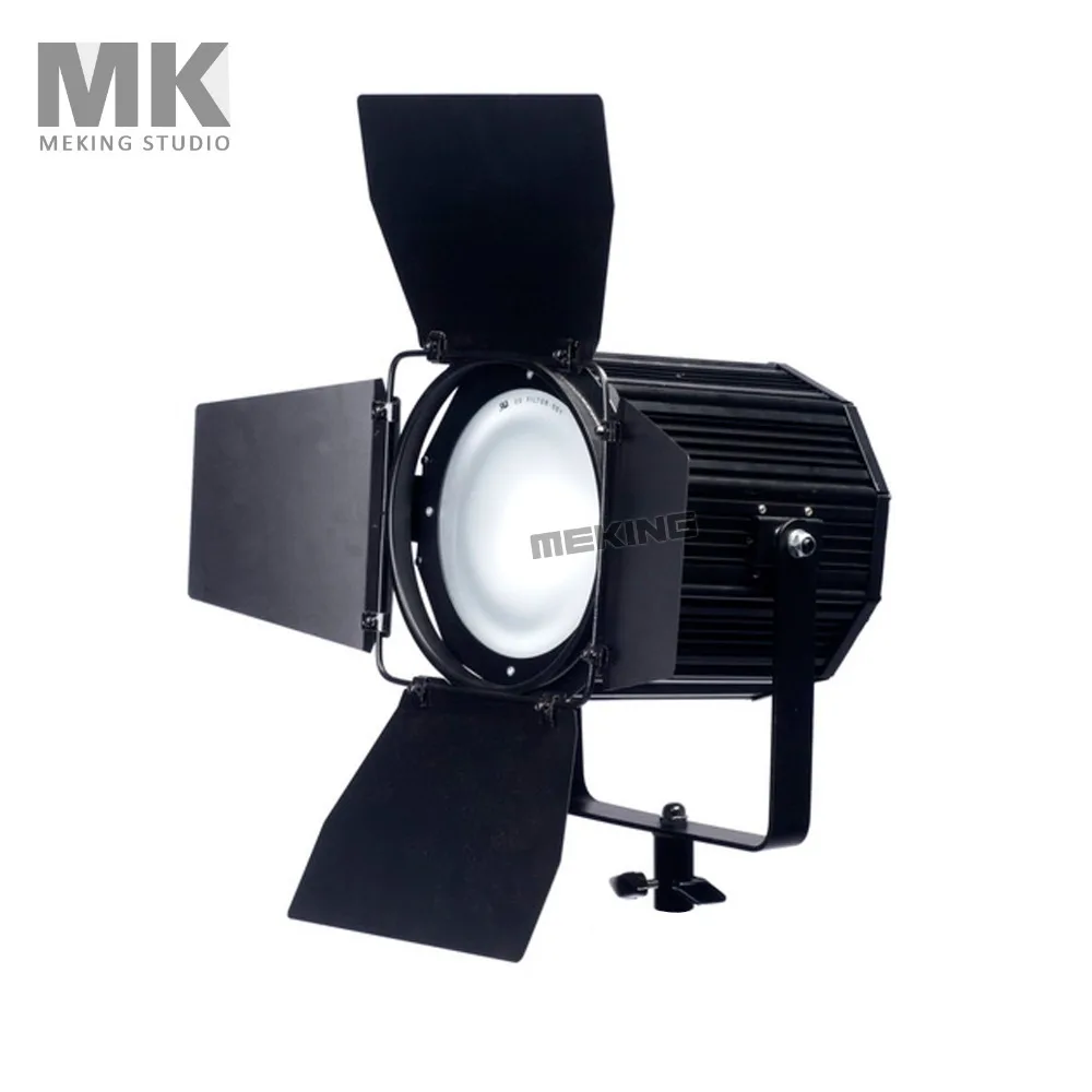 Meking 250w 110v 5600K студия Fresnel фотография камеры видео свет с Bulilt-in для