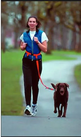 Бесплатная доставка нейлон сильные руки собаки поводок животное ведет для бега