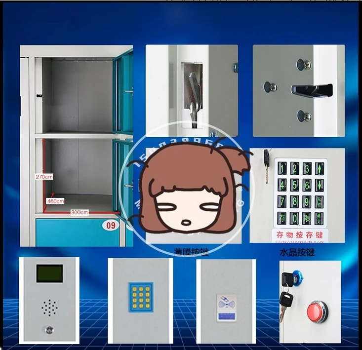 IP wifi сейфы шкафчики логистическая система управления программное обеспечение