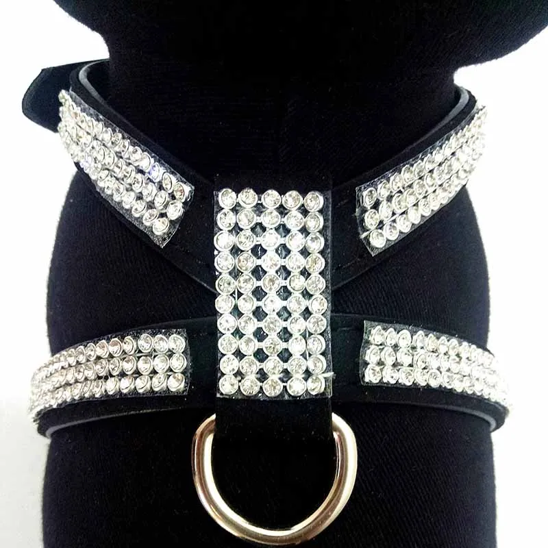 Ошейник для маленьких собак и кошек из кожи | Дом сад