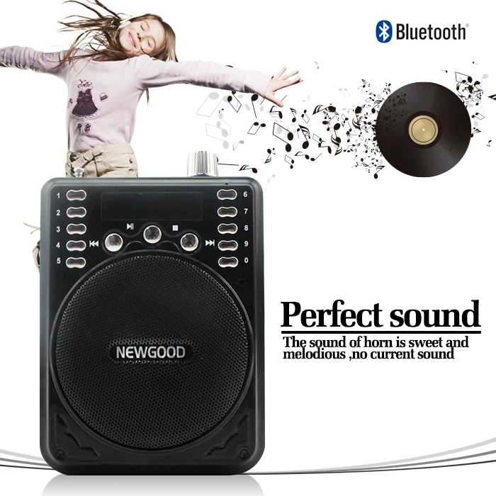Мини Портативный голос усилители домашние Bluetooth колонки громкий запись с FM радио беспроводной микрофон для учителей гид
