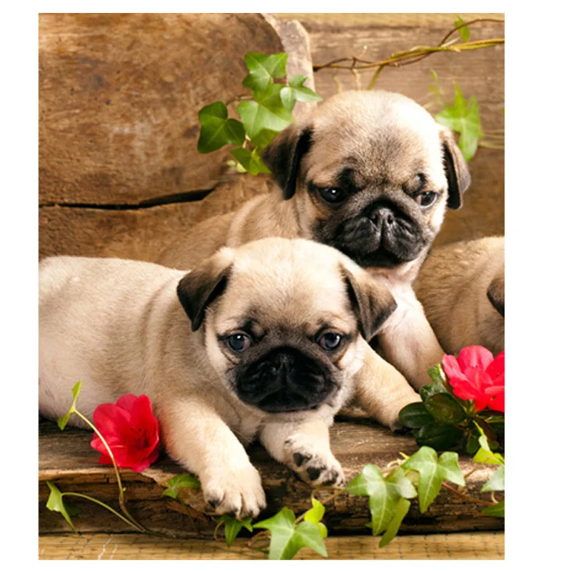 СДЕЛАЙ САМ Наклейки Алмаз Живопись Декоративная Горный Хрусталь Мозаика круглый