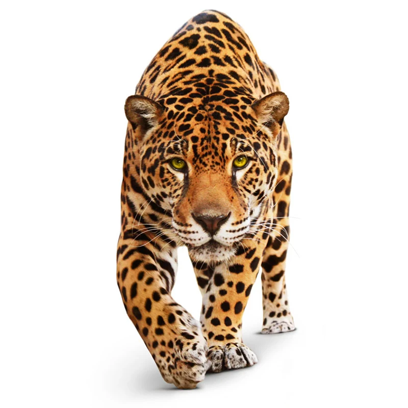 2017 Высокое качество спортивный SexyLeopard принт pu кожаный дорожный руль лента