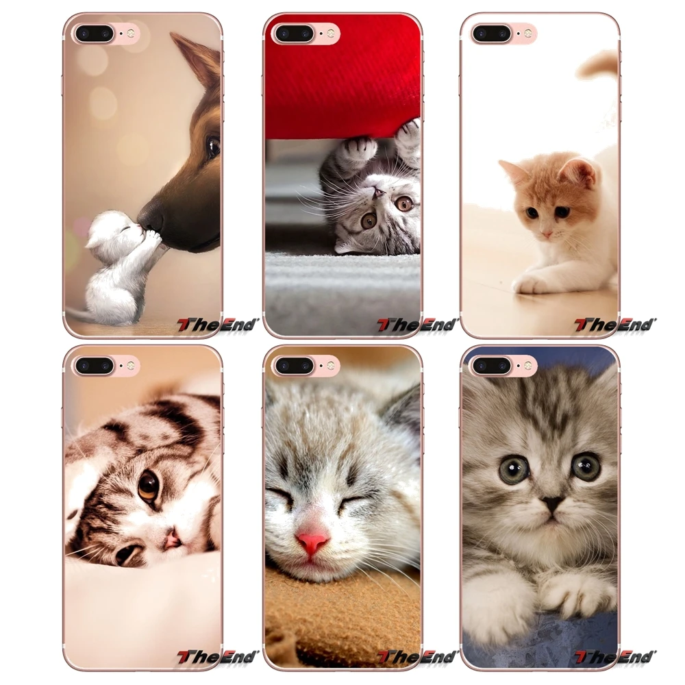 Очаровательны Аксессуары для кошек телефон чехлы Apple iPhone X 4 4S 5 5S SE 5C 6 6s 7 8 плюс Plus