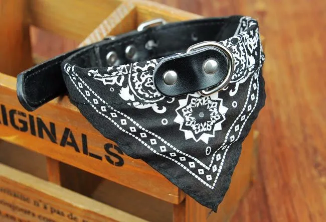 Оптовая продажа ошейников для маленьких собак|collar for cats|cat collarsmall cat collars |