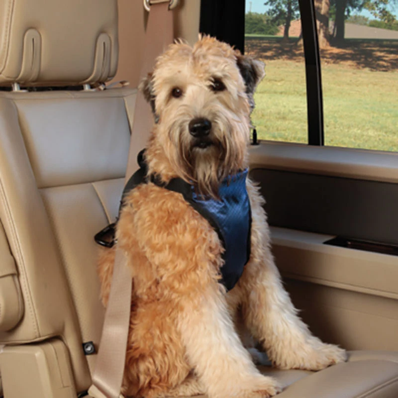 

3-54kg Small Big Dogs Car Seat Belt Update Automobile Car Dogs Safety Harness Vest Seat Belts Pad Covers For 6-120lbs Pet Travel