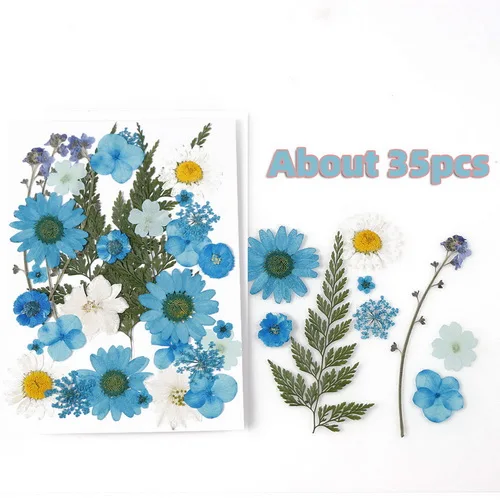 Blue flower field 1 мешок сушеных цветов УФ смолы декоративные натуральные Цветочные наклейки 3D сухие Переводные картинки для наведения красоты эпоксидная форма DIY наполнение ювелирных изделий - Цвет: Blue flower field