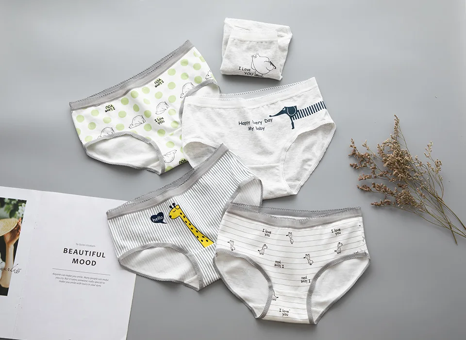 5pcs changjinglu 5 шт./лот, трусики, женское нижнее белье, хлопковые трусы, Cueca Calcinhas, женские шорты с принтом фруктов, трусы для девочек, полосатые трусики для девушек - Цвет: 5pcs changjinglu