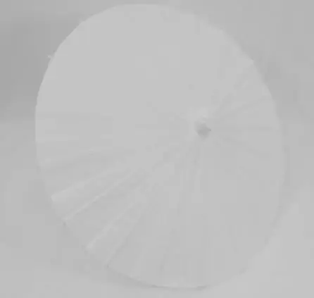 40cm paper umbrellaW Белые тематические стильные вечерние Свадебные DIY лента для украшения/бумажный фонарь/зонтик/воздушный шар искусственные розы гортензии Цветочные шары - Цвет: 40cm paper umbrellaW