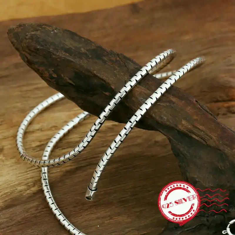 S925 sterling silver men's necklace personality fashion jewelry snake-shaped wild long section with chain 2018 new send lover's |