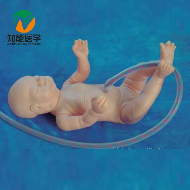 

New Born Manikin Neonatal Umbilical Cord Infant Nursing Model BIX-F132