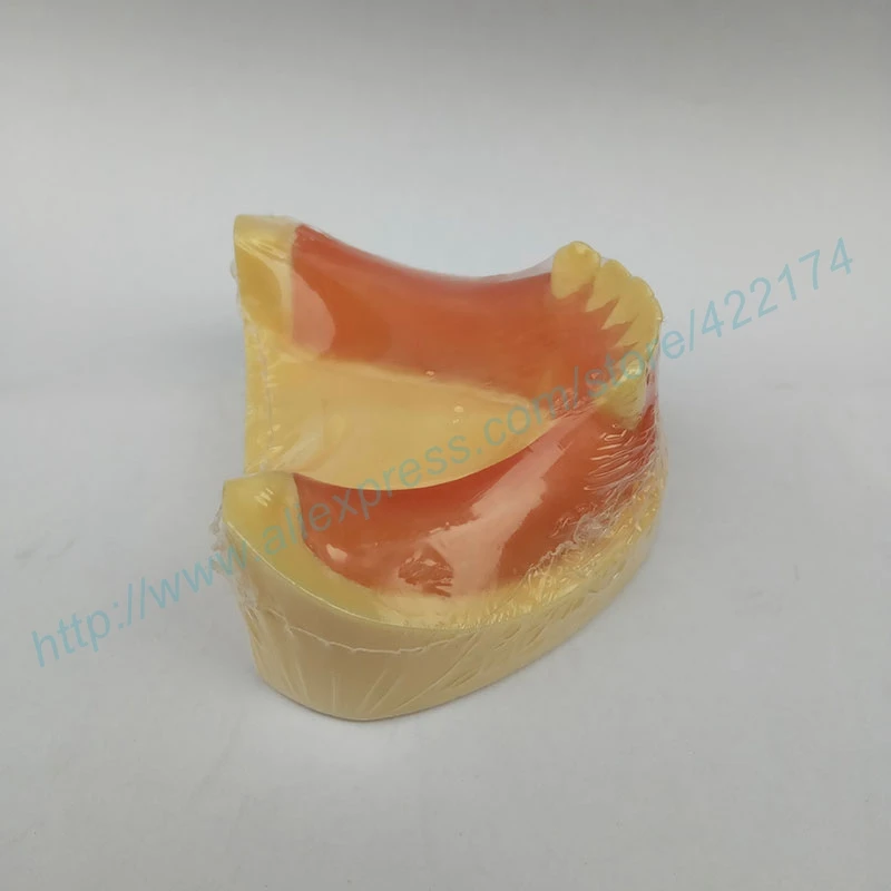 Бесплатная доставка модель для тренировки имплантации зубных зубов с деснами