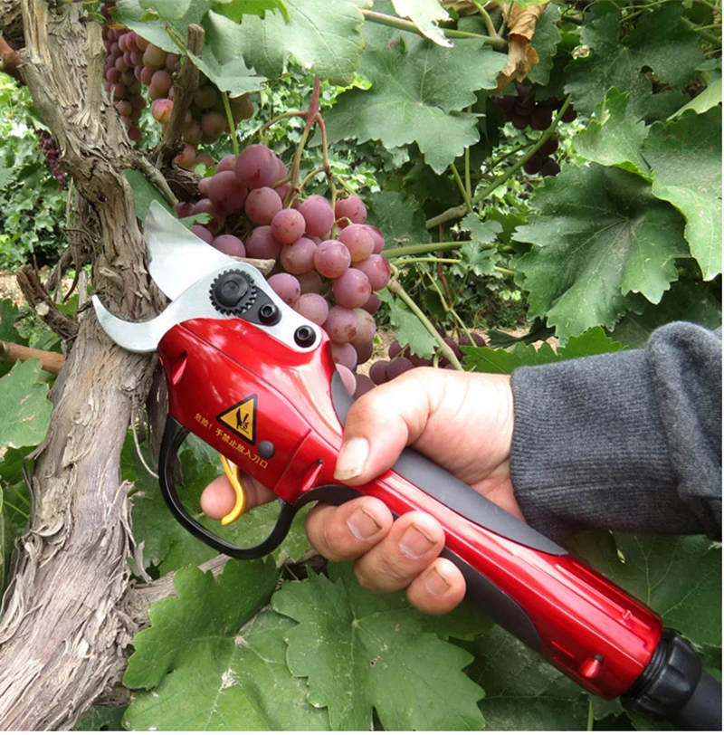 Бесплатная доставка 1 шт. SCA2 Электрический секаторами (полный набор инструментов