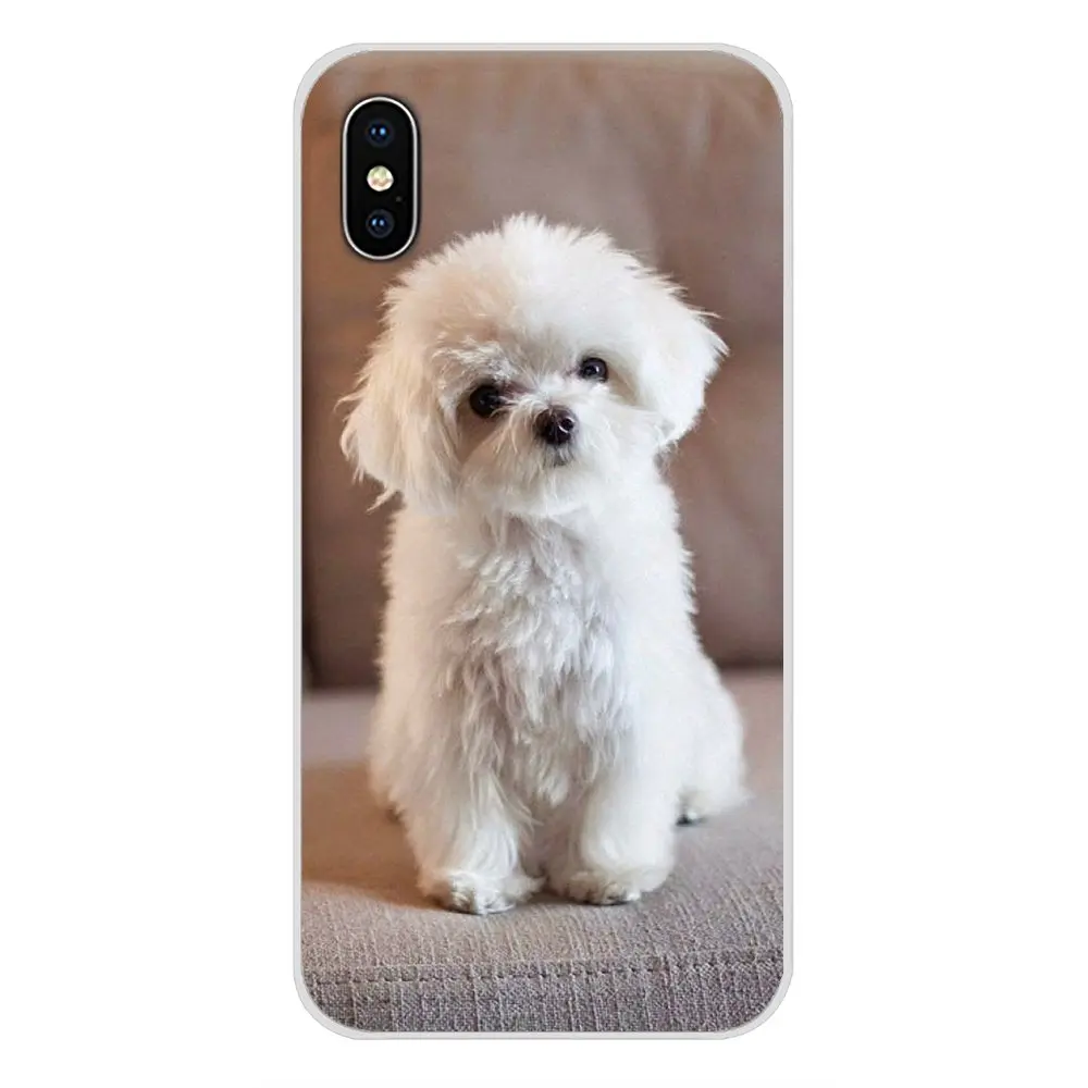 images 6 Для huawei G7 G8 P7 P8 P9 P10 P20 P30 Lite Mini Pro P Smart плюс белый Мальтийский щенки собака сотовый Чехол для телефона Чехлы - Цвет: images 6