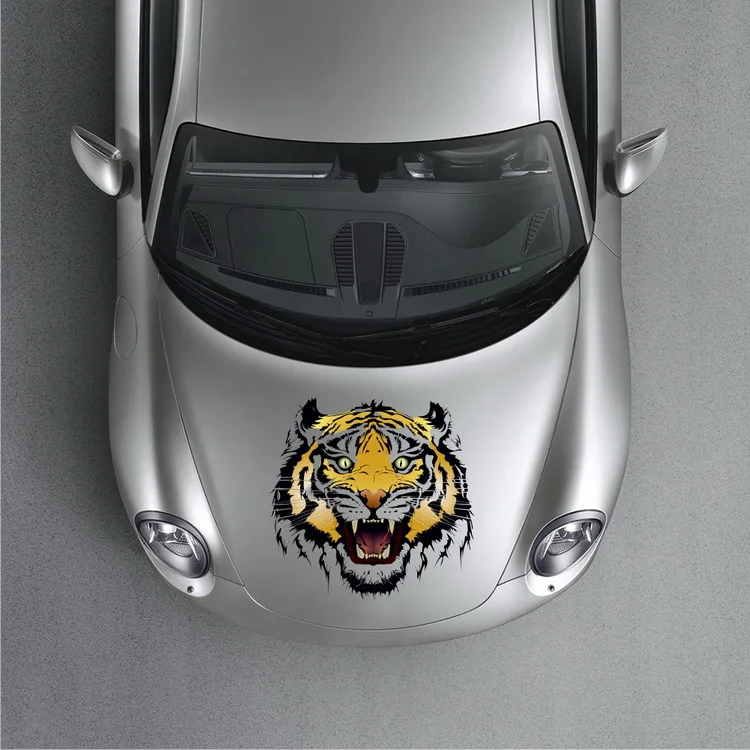 Новинка 2017 года автомобильные аксессуары Шэньчжэнь наклейки для грузовиков