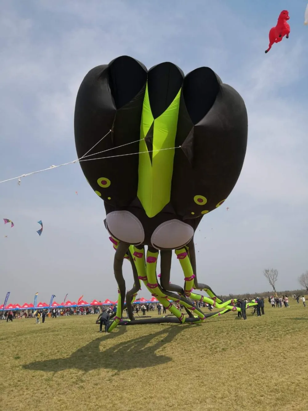 Однолинейный воздушный змей летающий большой осьминог|Воздушные змеи| |