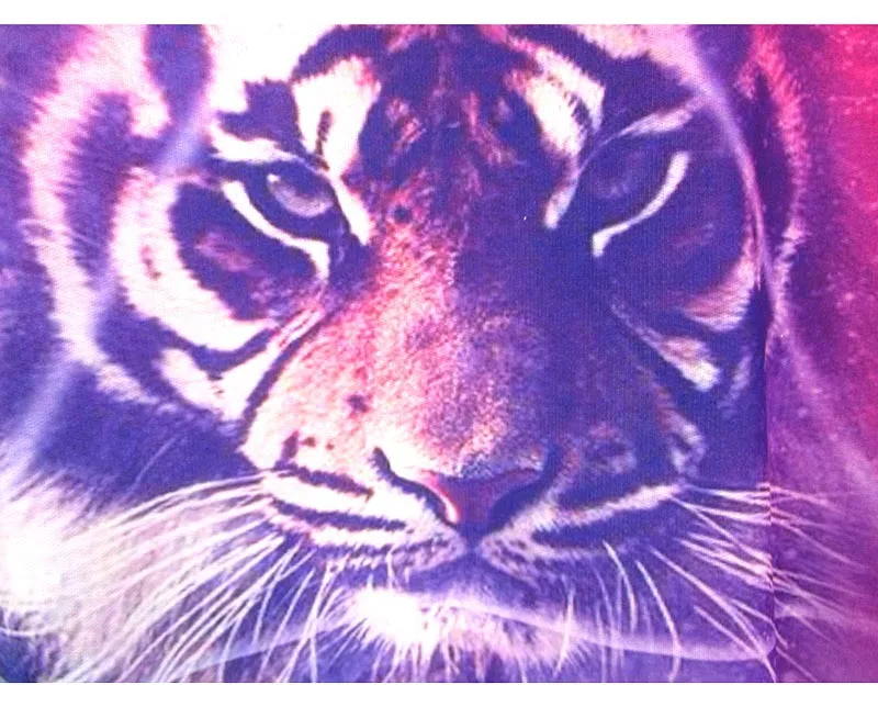 Женская толстовка с принтом тигра Осенний пуловер в американском и Европейском