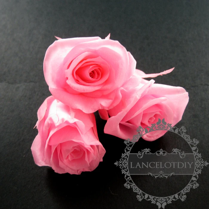 2-3 см розовый настоящий окрашенный сохраненный цветок розы сухой для DIY